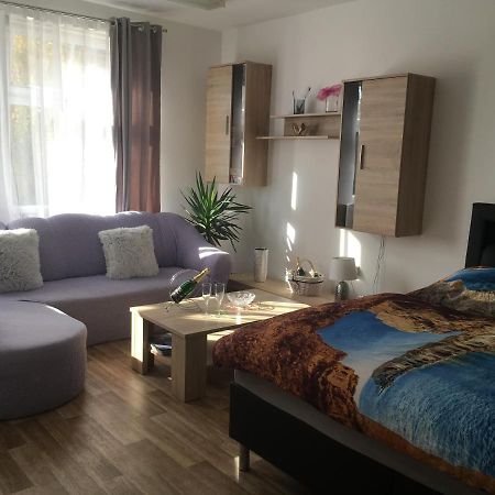 Appartamento Cecilka Náchod Esterno foto